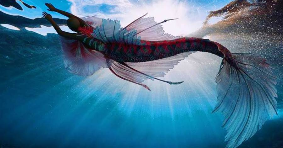 「3000年前的美人魚」，4000米深海的蛤蟆人，「錄像曝光」深海中的美人魚!!